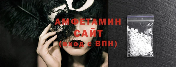индика Дмитров