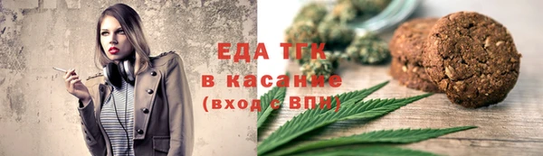 индика Дмитров