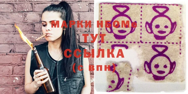 мдпв Пестово