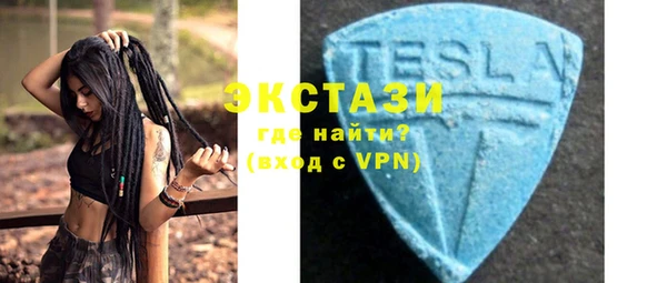 индика Дмитров