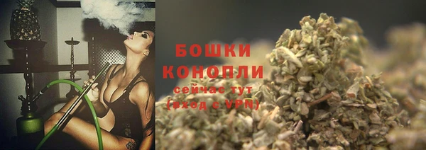 индика Дмитров