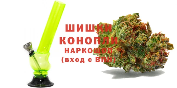 индика Дмитров