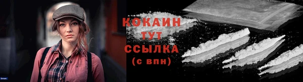 индика Дмитров