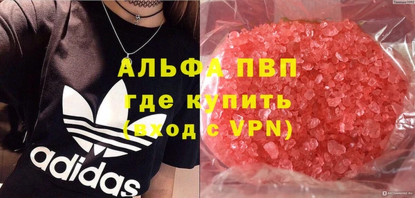 индика Дмитров