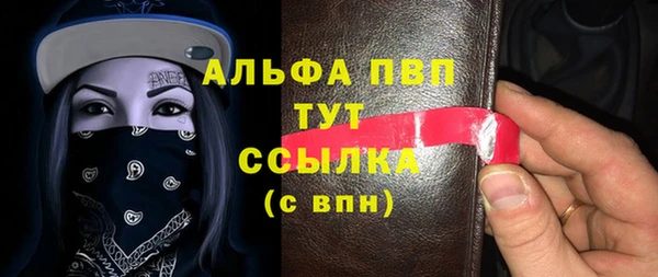индика Дмитров