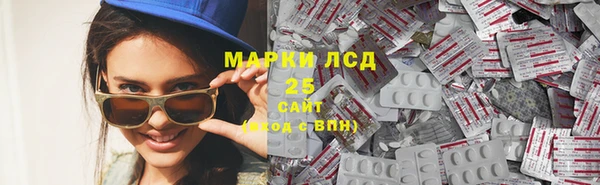 индика Дмитров
