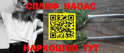 гашик Кинель