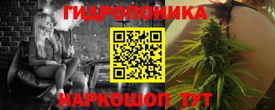 гашик Кинель