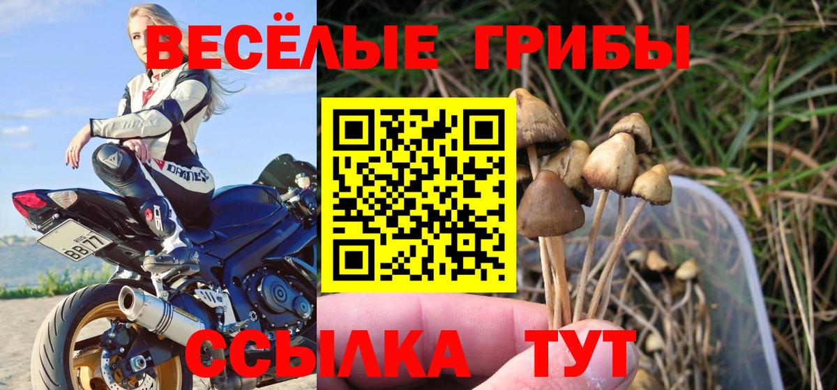 продажа наркотиков  Псилоцибиновые грибы мухоморы  Псилоцибиновые грибы мицелий  Вход с VPN  Похвистнево 